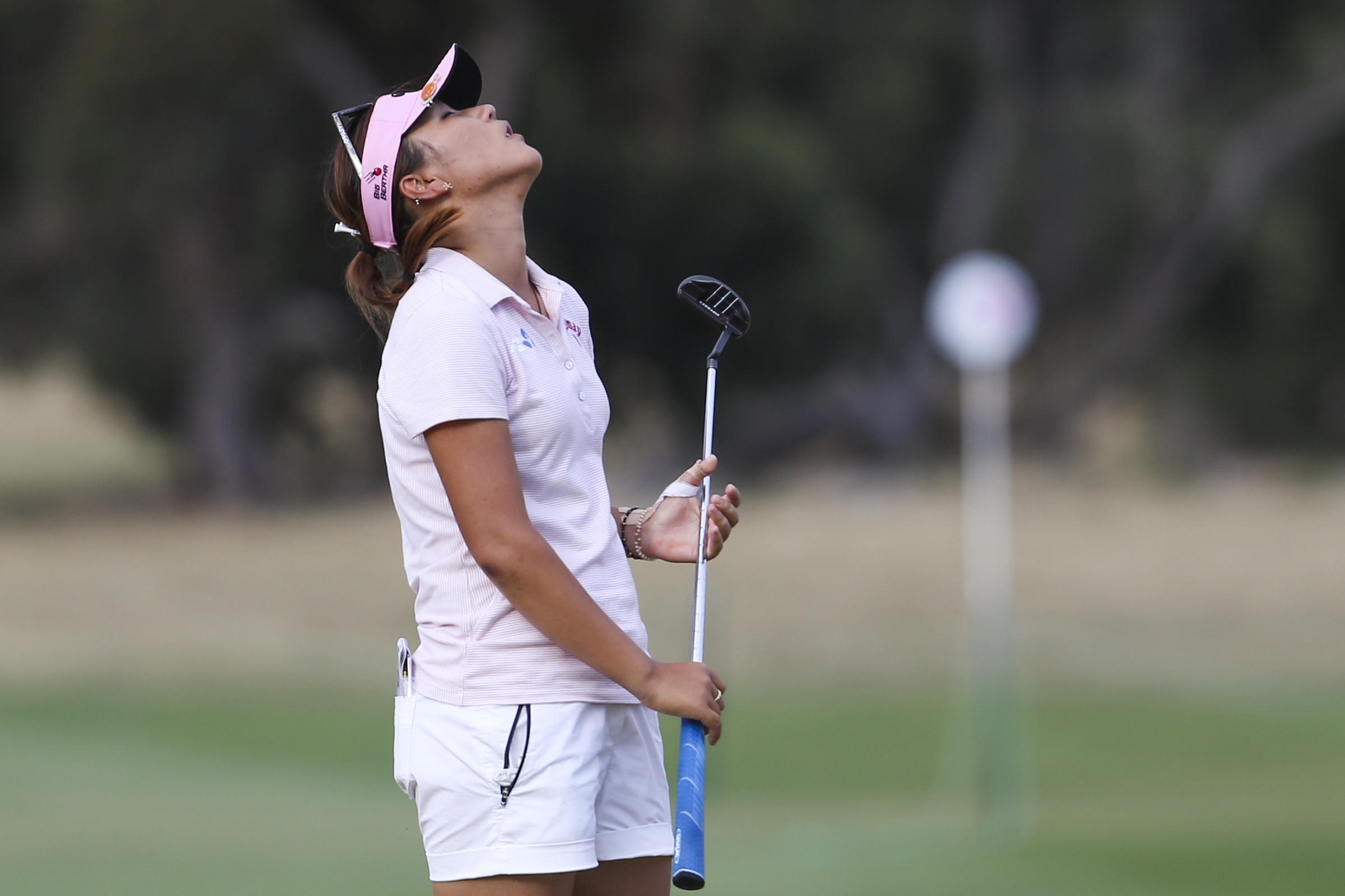 Beeld: Golfsupport.nl