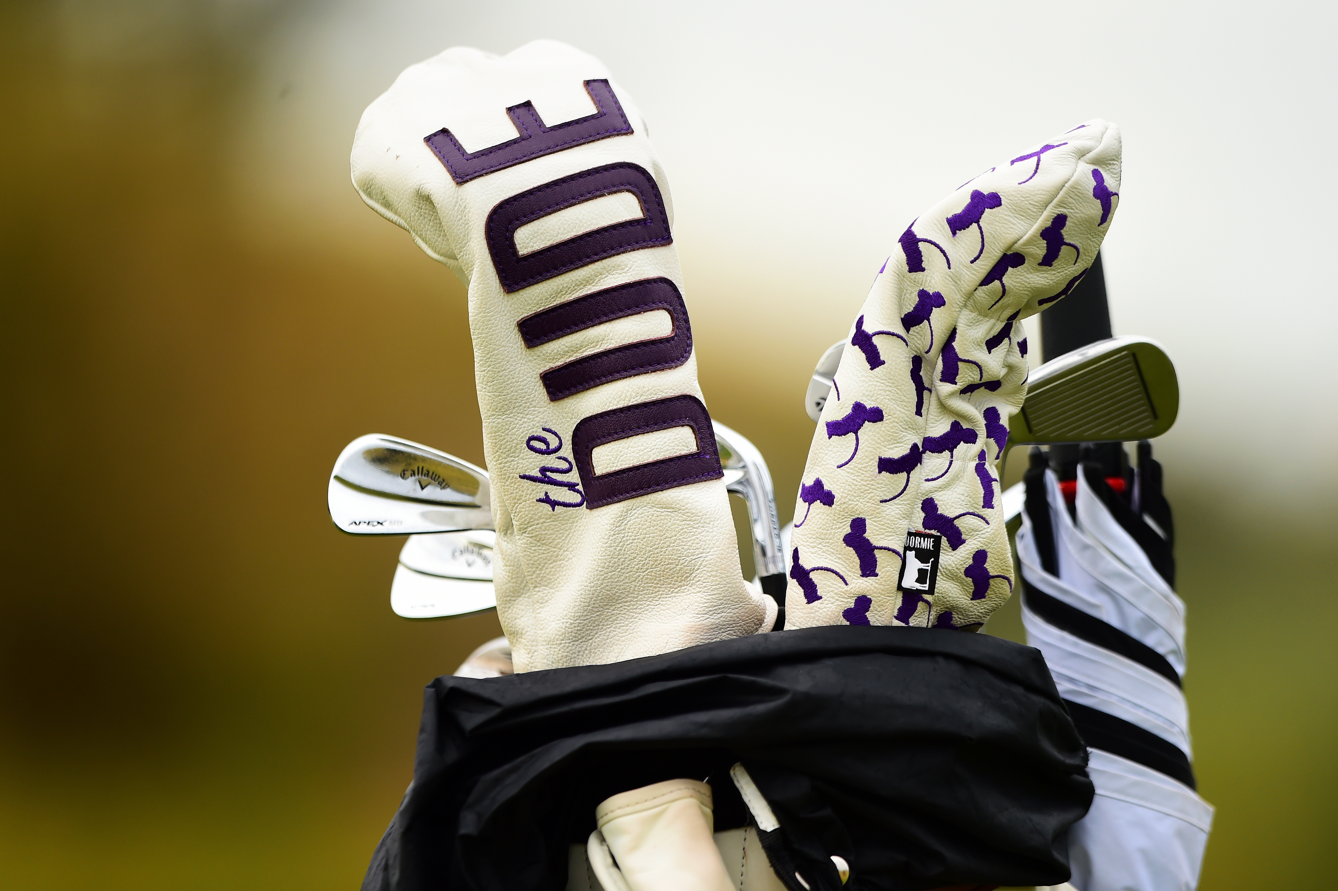 Beeld: Golfsupport.nl