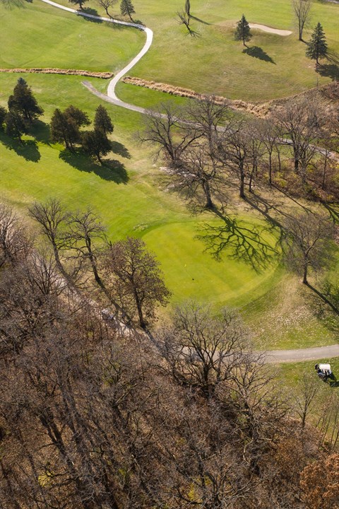 Beeld: Dean Ricciardi