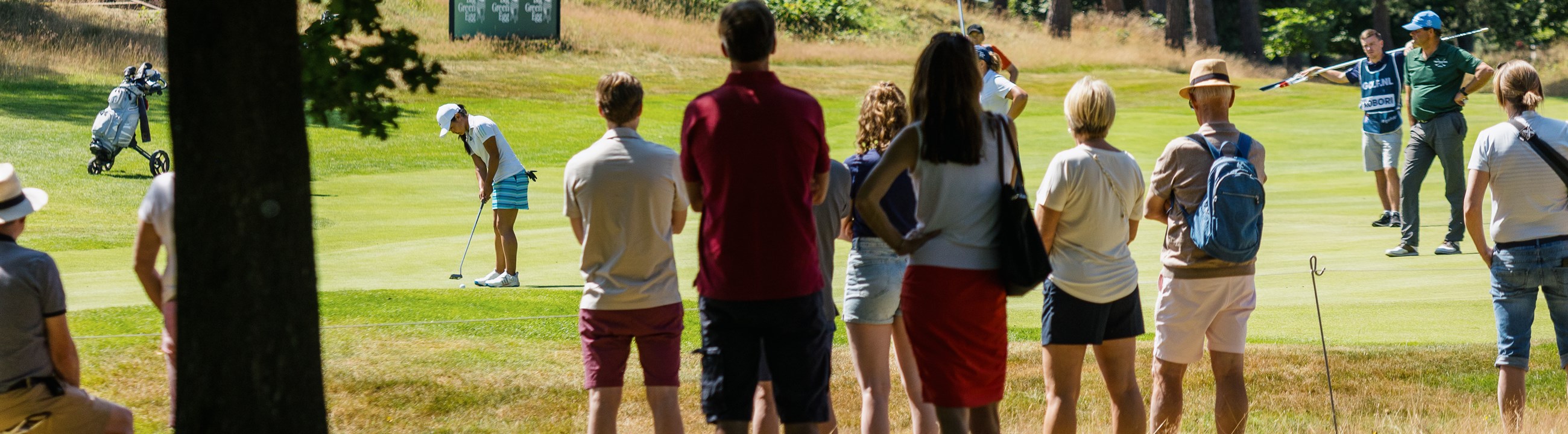 Beeld: Approach the green