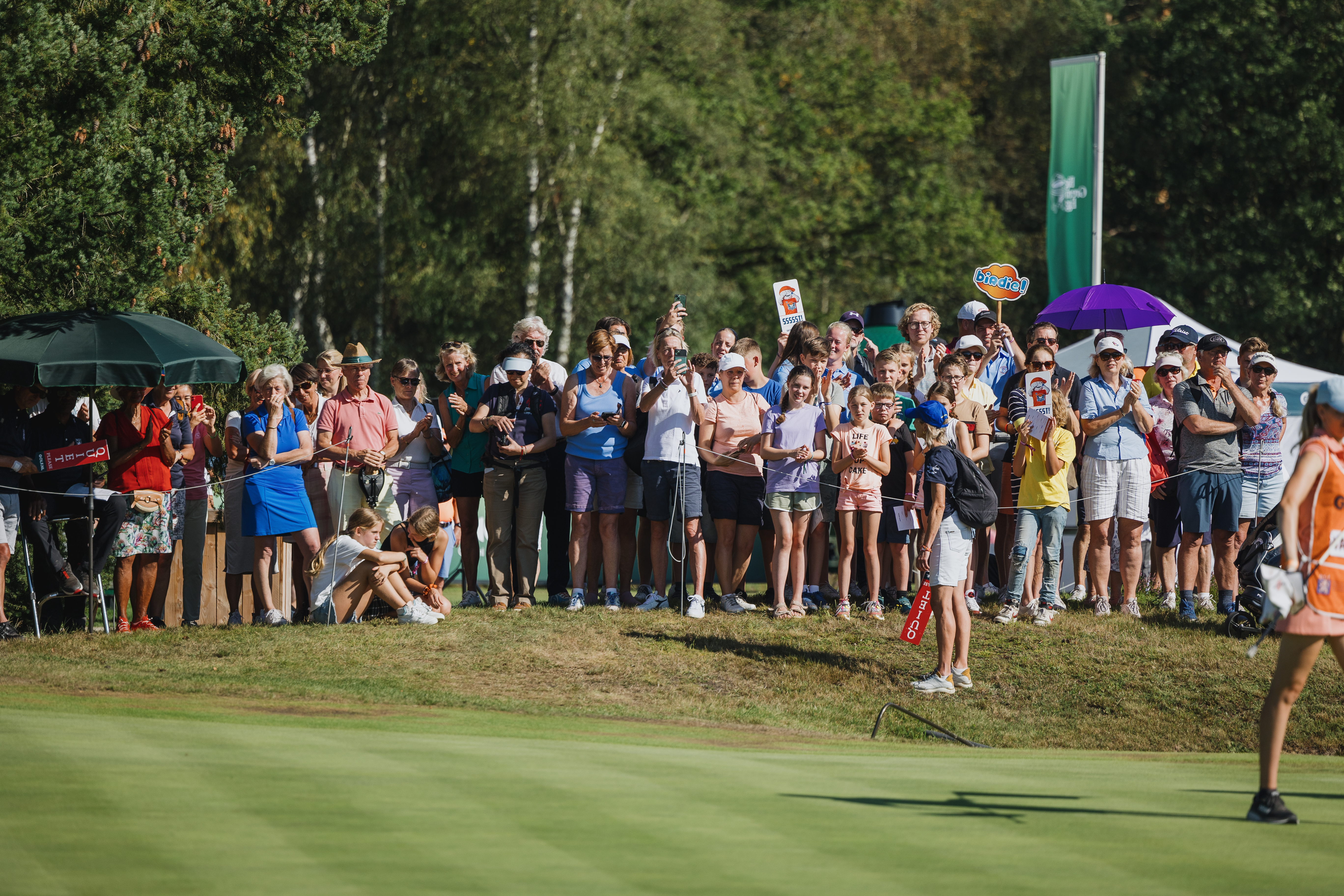 Beeld: Approach the green / Edwin Vermaas