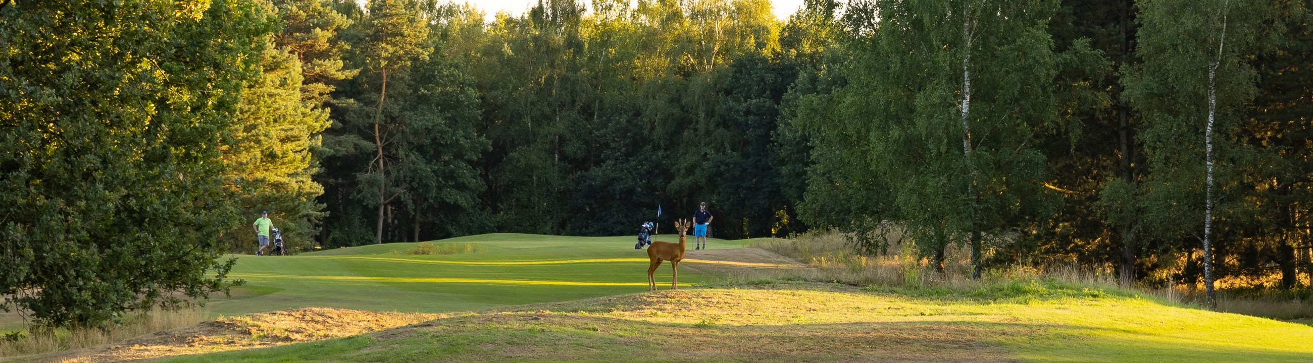 Beeld: Hole 18 Golfbaanfotografie