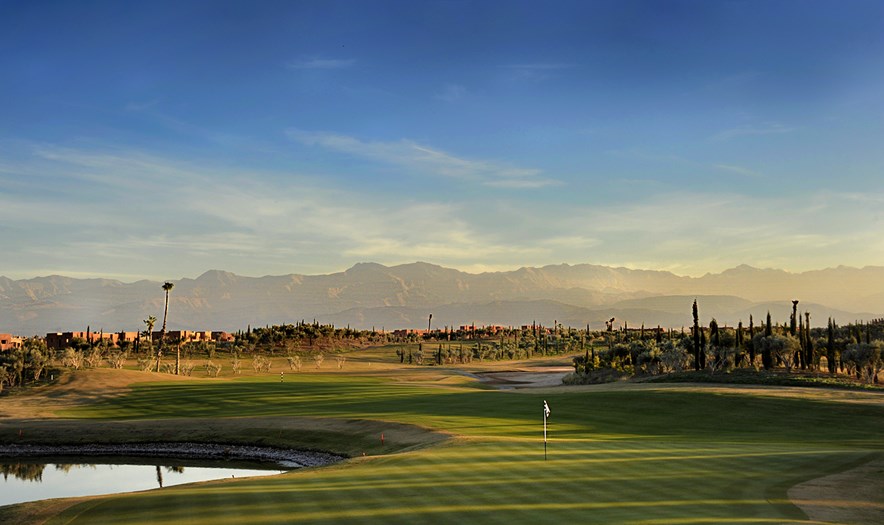 Palm Golf