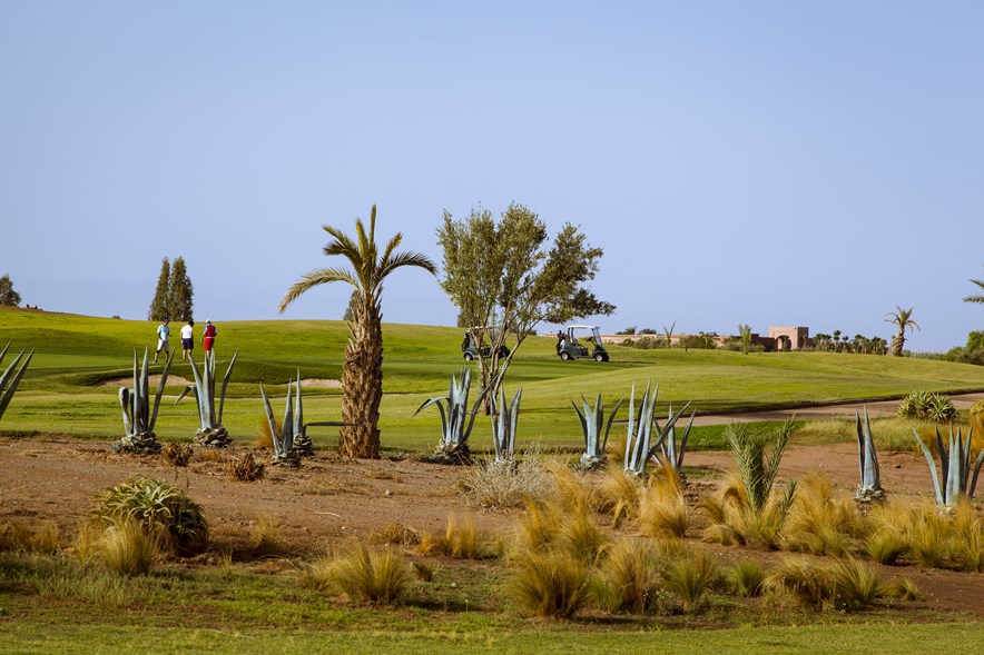 samanah golf