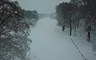 Sneeuw op de Rosendaelsche bij Arnhem