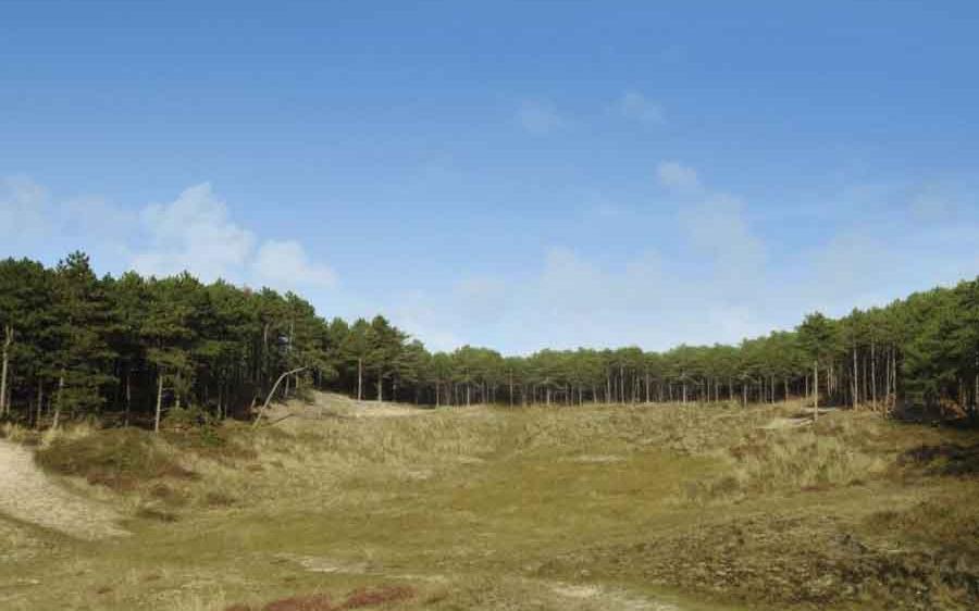 Een impressie van de natuurgolfbaan op Terschelling