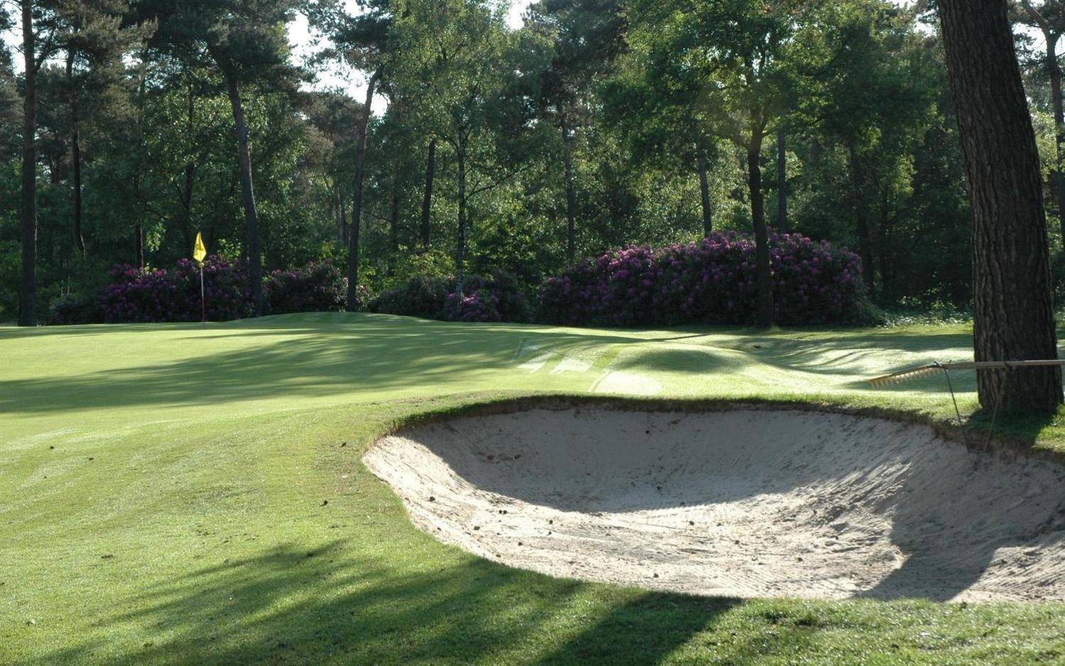 Hole 9 van Geijsteren
