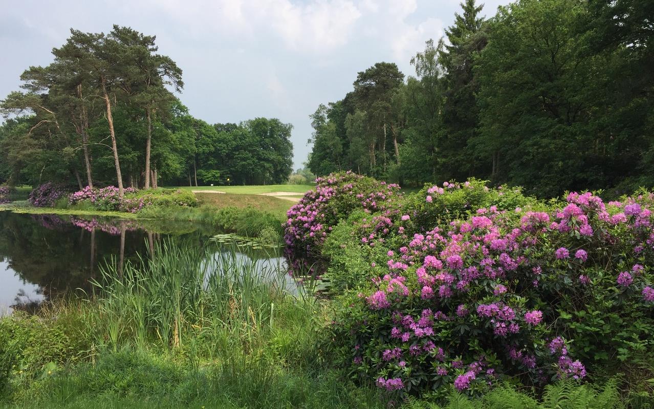 Golfbaan de Dommel