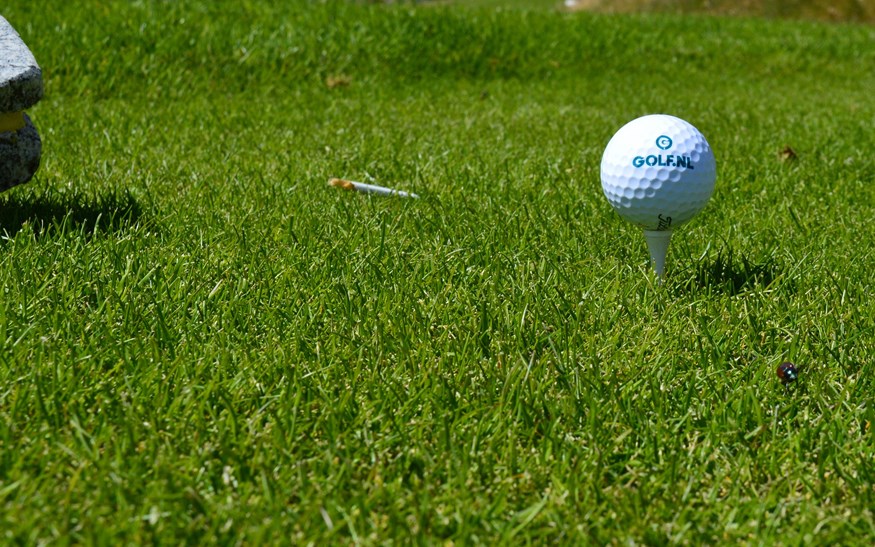 Golfbal op de tee in de golfbaan