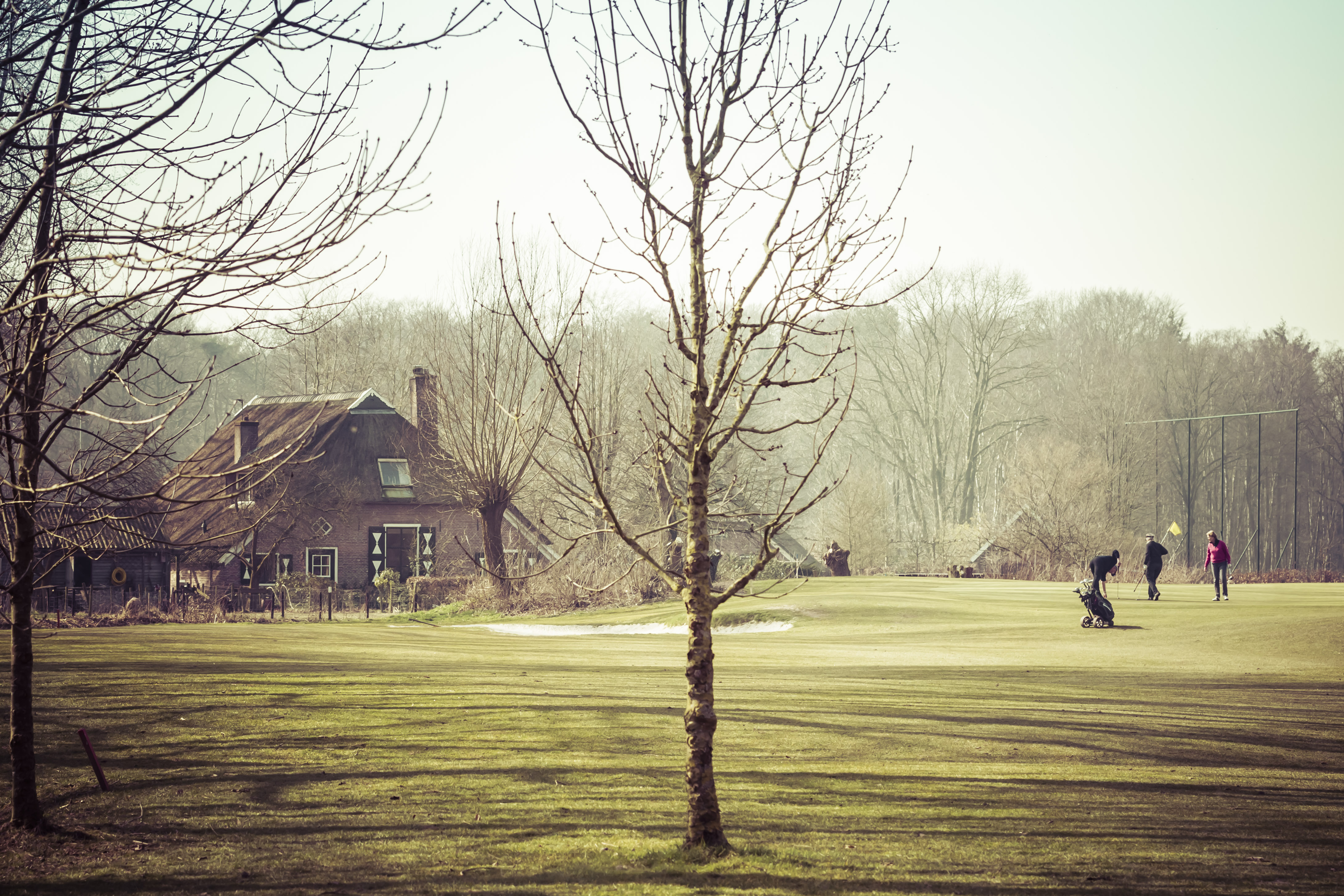 Beeld: Bert van der Toorn