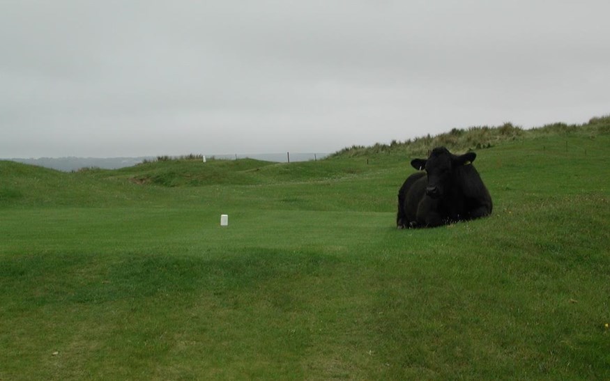 Pennard GC