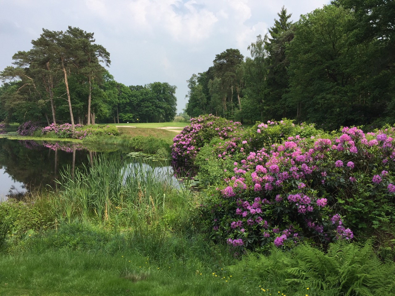 Golfclub de Dommel