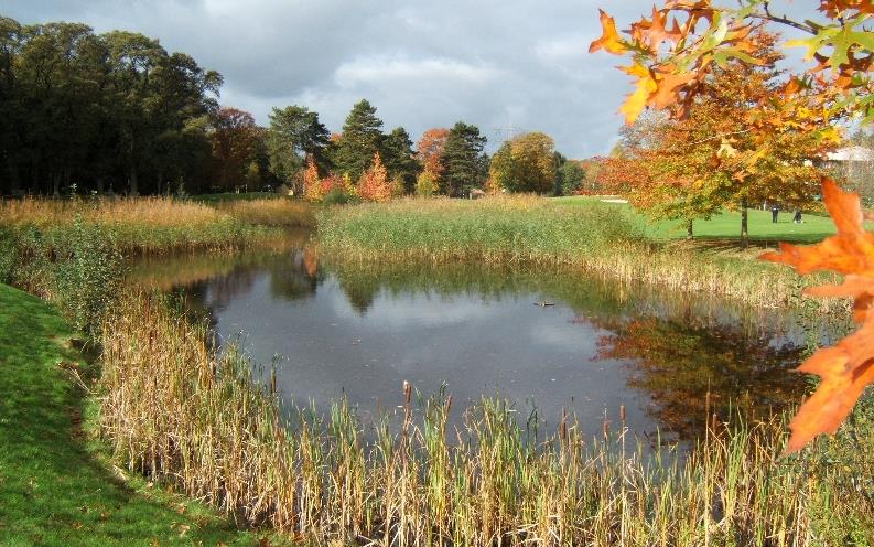 Golfbaan Soestduinen