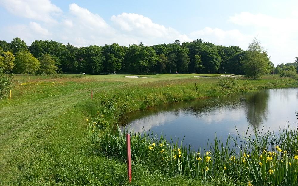 De Noord-Nederlandse