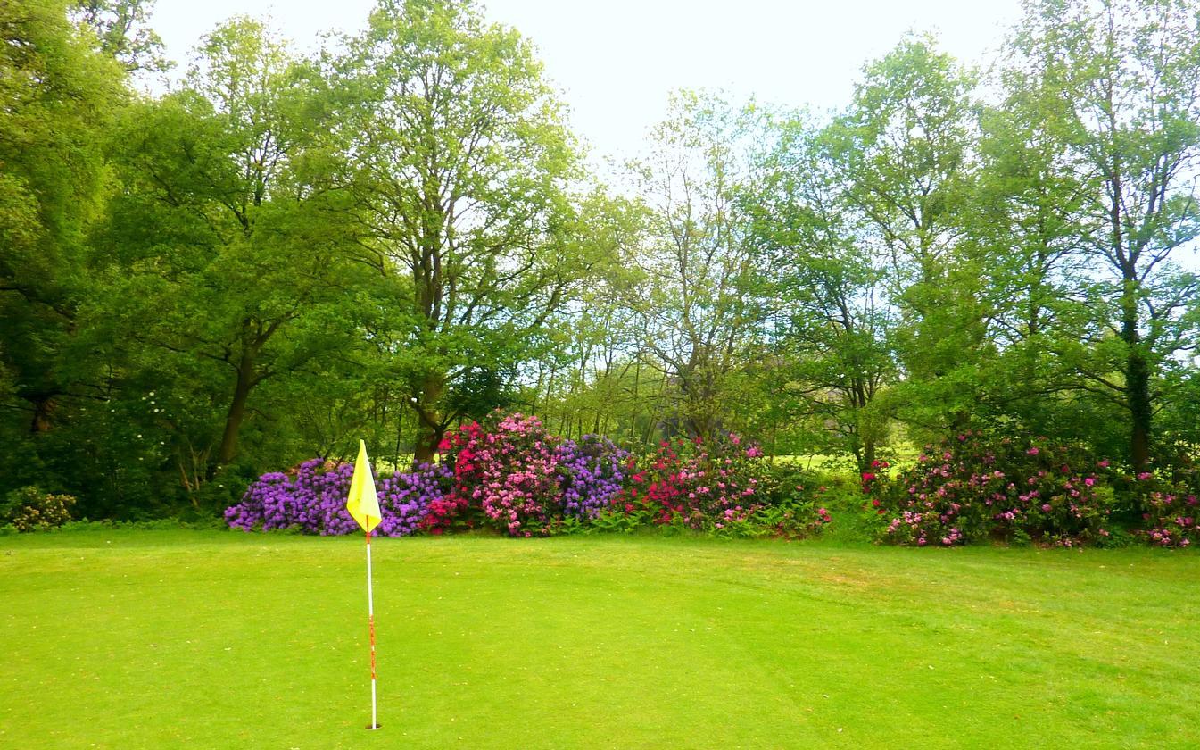 GC Prinses Wilhelmina