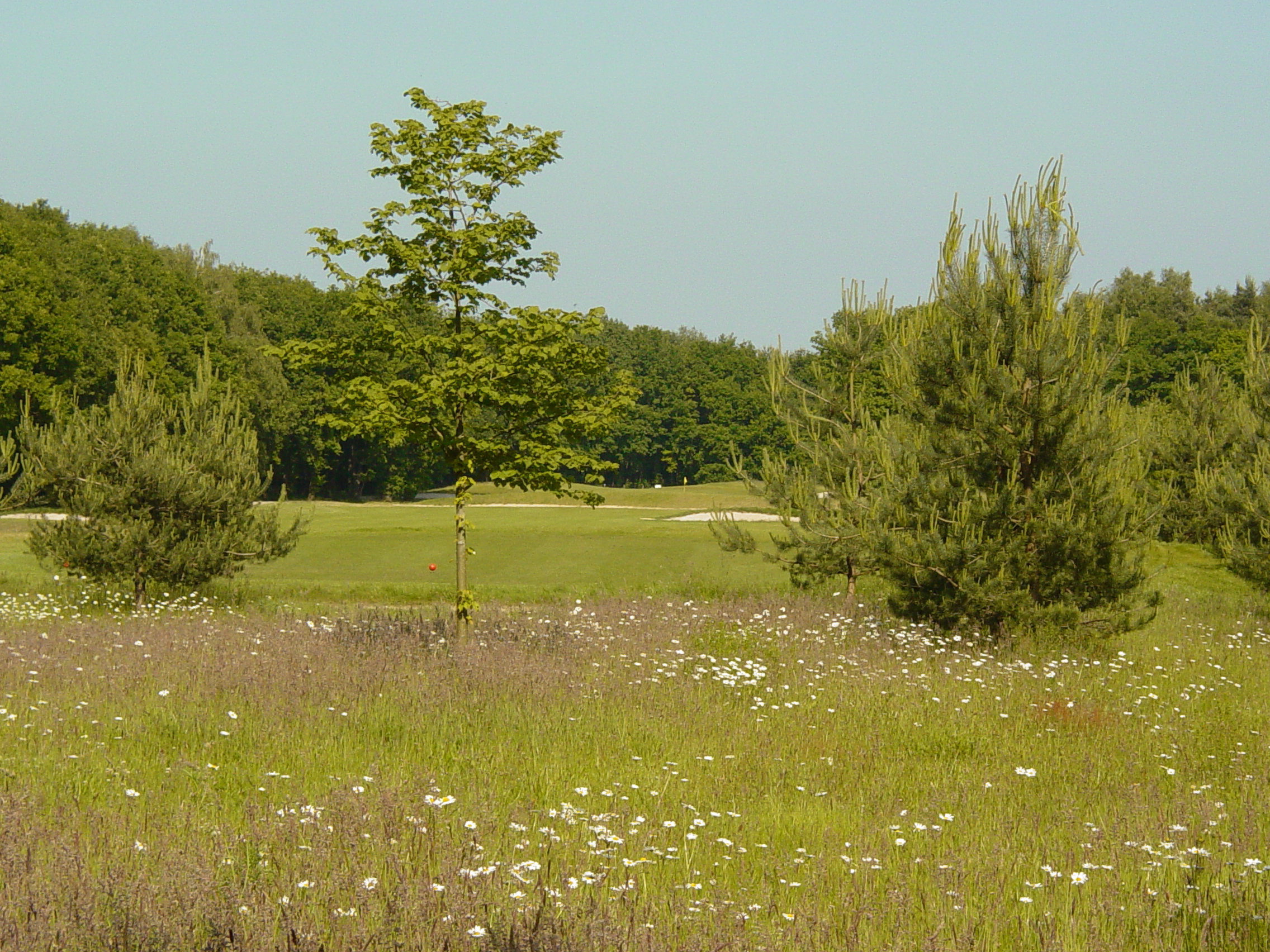 Golf- & Business Club De Scherpenbergh