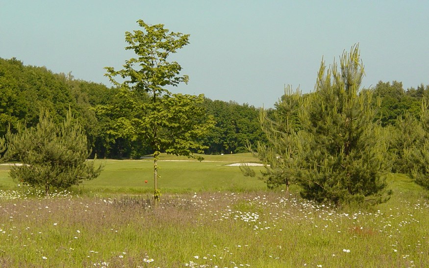Golf- & Business Club De Scherpenbergh