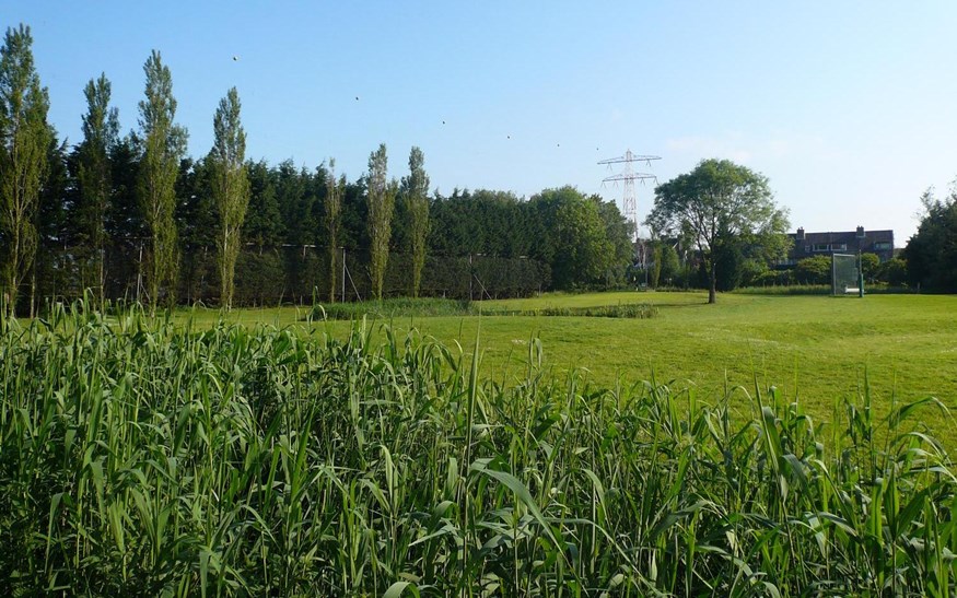 Golfbaan het Wedde