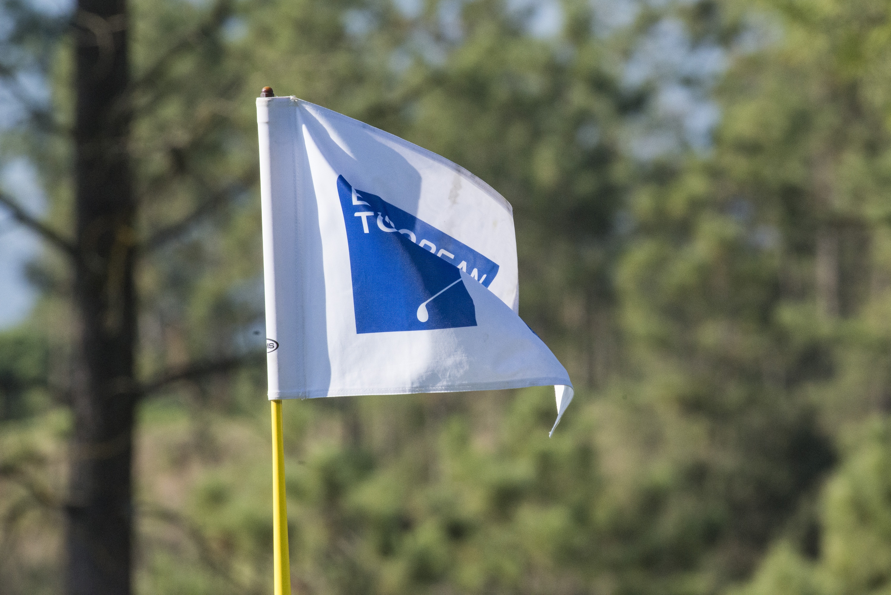 vlag in de hole op golfbaan