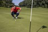 green vlaggenstok scheef in hole golf regels